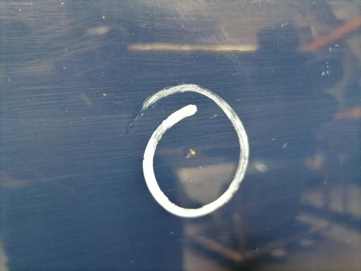 Ford Transit Connect original Tür vorn rechts Torino Blau Bj.2004